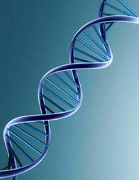 Genetic Genetic Syndrome Mutation