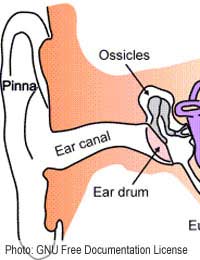 Pain Ear Pain Management Ruptured