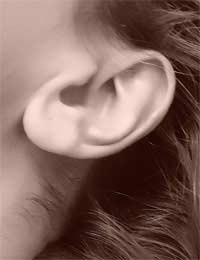 Autoimmune Ear Disease Research